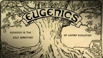 Eugenics in Switzerland Image